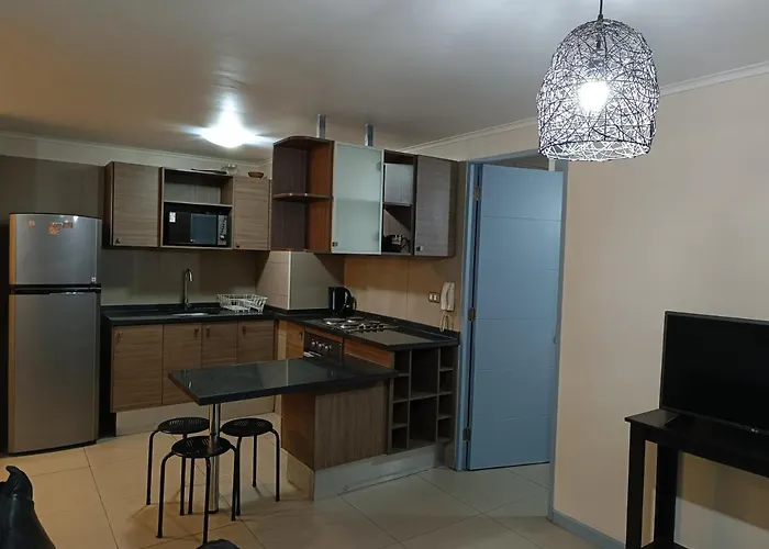 Hermoso Departamento En La Moneda P15.