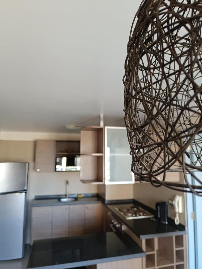 Hermoso Departamento En La Moneda P15. Santiago