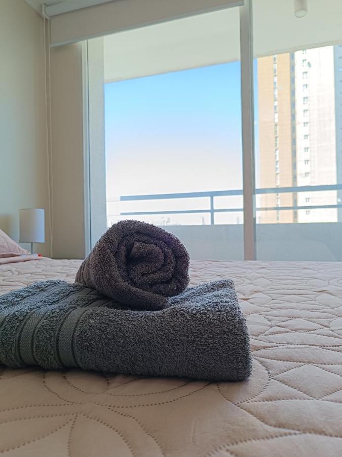 Hermoso Departamento En La Moneda P15. Apartamento